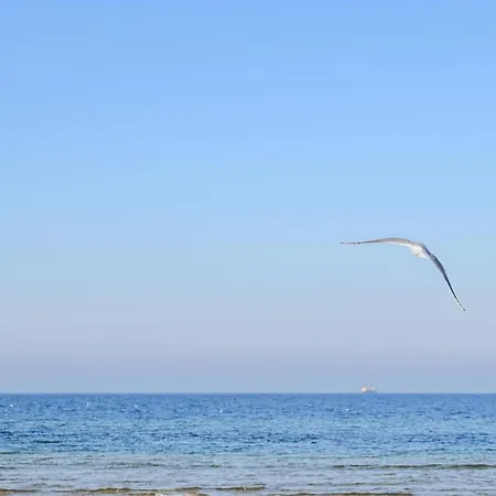 Amazing In Appartement Jezierzany