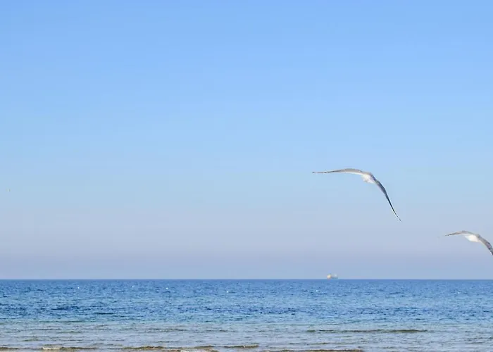 Amazing In Apartman Jezierzany